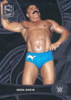 Iron Sheik