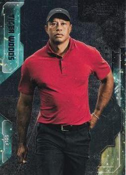 Tiger Woods
