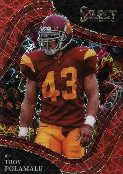 Troy Polamalu