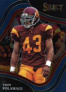 Troy Polamalu