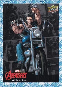 Wolverine