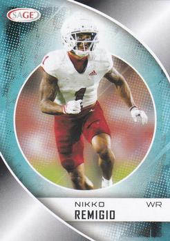Nikko Remigio