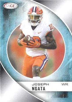 Joseph Ngata