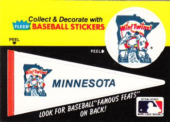 Minnesota Twins Pennant