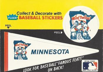 Minnesota Twins Pennant