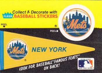 New York Mets Pennant