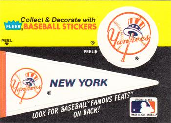 New York Yankees Pennant