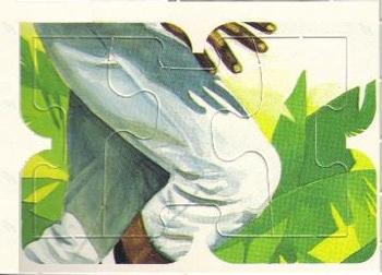 Roberto Clemente