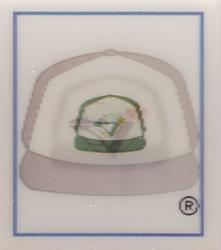 Toronto Blue Jays