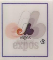 Montreal Expos