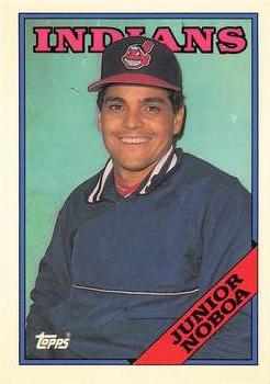Junior Noboa
