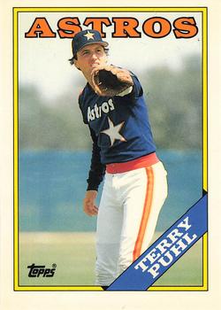 Terry Puhl