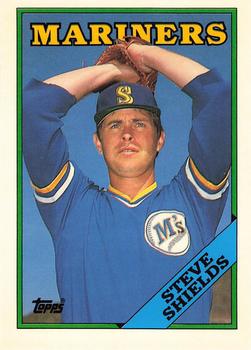 Steve Shields