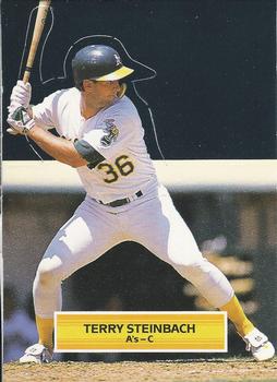 Terry Steinbach