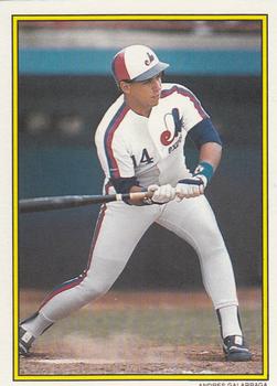 Andres Galarraga
