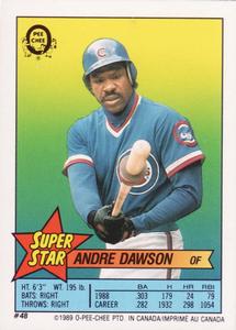 #48 Andre Dawson