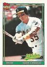 Ozzie Canseco