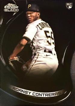 Roansy Contreras