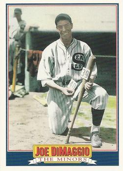 Joe DiMaggio