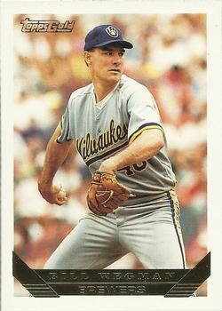Bill Wegman