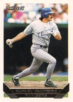 Rafael Palmeiro