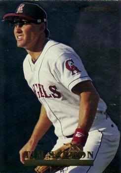 Tim Salmon