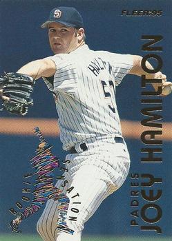 Joey Hamilton