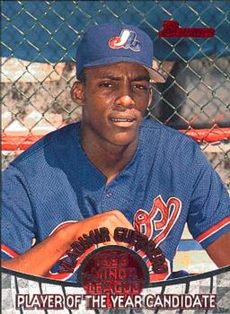 Vladimir Guerrero