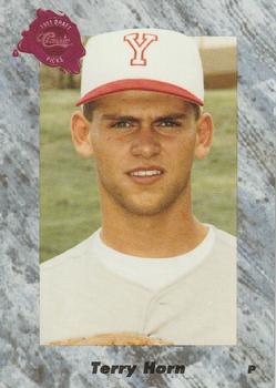 Terry Horn