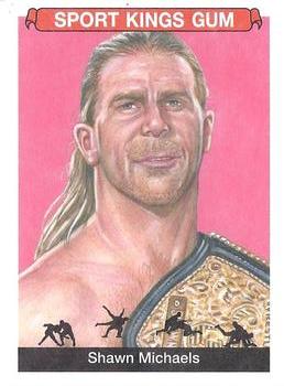 Shawn Michaels