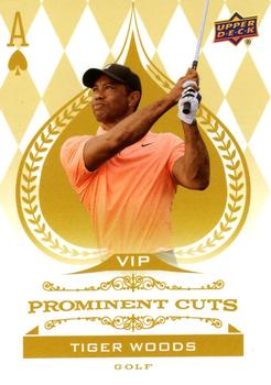 Tiger Woods