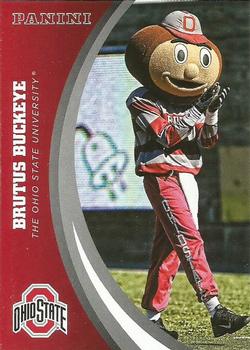 Brutus Buckeye