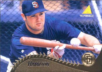 Joey Hamilton