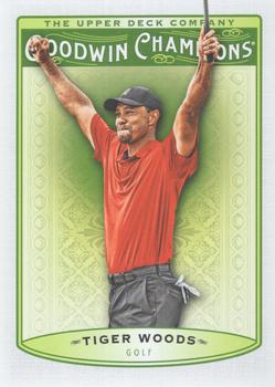 Tiger Woods