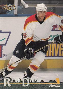 Radek Dvorak