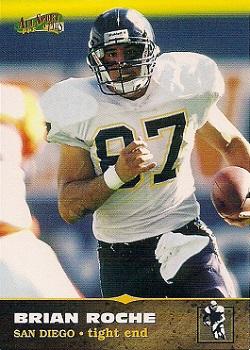 Brian Roche