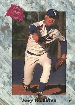 Joey Hamilton