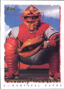 Lenny Webster