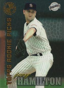 Joey Hamilton