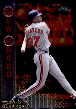 Vladimir Guerrero