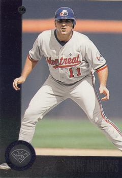 Shane Andrews