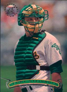 Terry Steinbach