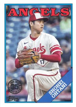 Shohei Ohtani