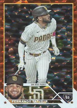 Fernando Tatis Jr.