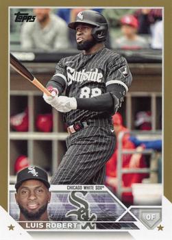 Luis Robert