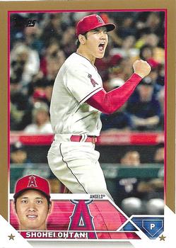 Shohei Ohtani