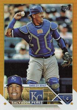 Salvador Perez