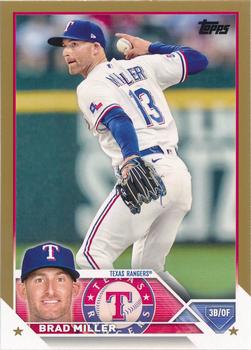 Brad Miller