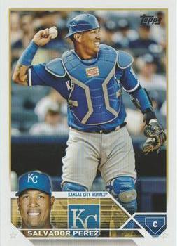 Salvador Perez