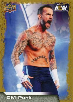 CM Punk